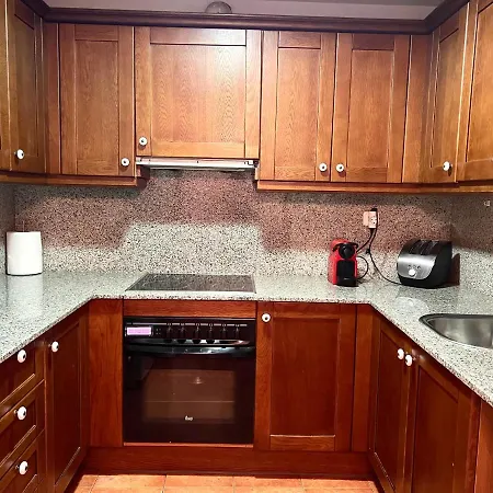 Els Raiers - L'amfitriona Apartament *